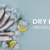 Dry Fish Storage and Preservation Methods: