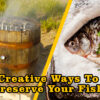 Creative Ways to Preserve A Fresh Fish