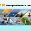 Top 10 Fishing Destinations in Tamilnadu