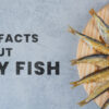 Top 10 Fun Facts About Dry Fish