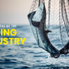 In the Depths of Change: Resilience and Innovation in the Fishing Industry