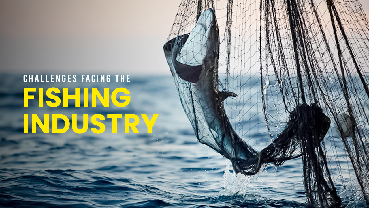 Innovation in the Fishing Industry