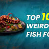 Top 10 Weird Fish Food in the World