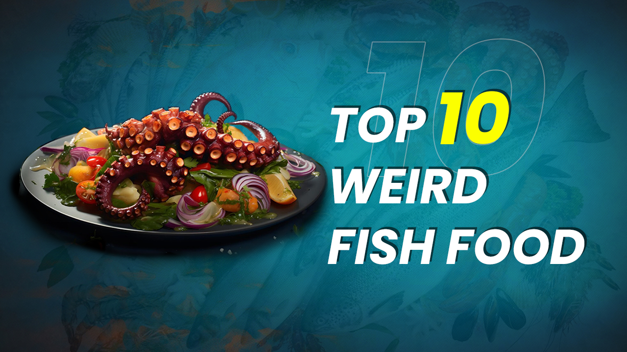 Weird Fish Food in the World