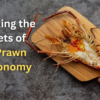 Enigmatic Charm of Dry Prawn Gastronomy